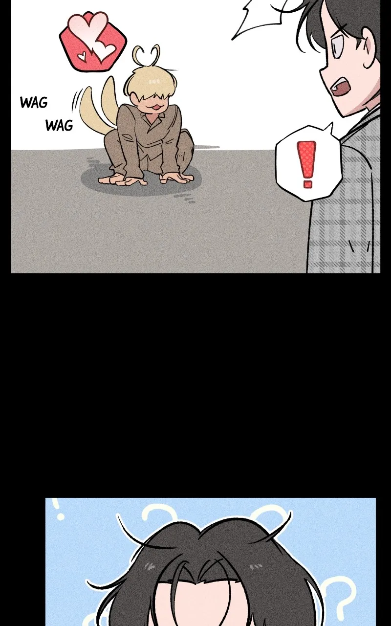 Read Devilish Son-In-Law chapter 16 image 19 on Lezhin