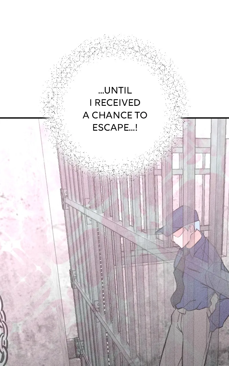 Read Devilish Son-In-Law chapter 17 image 14 on Lezhin