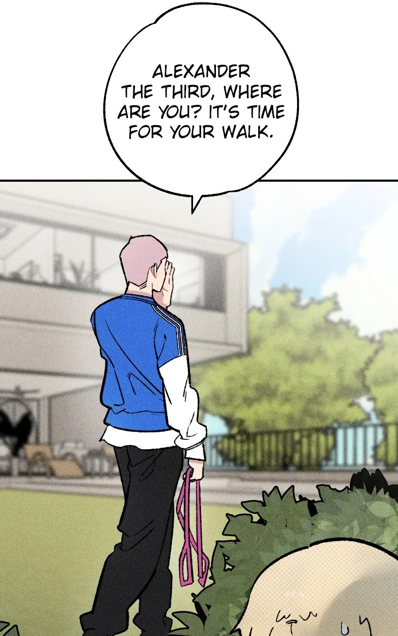 Read Devilish Son-In-Law chapter 23 image 11 on Lezhin