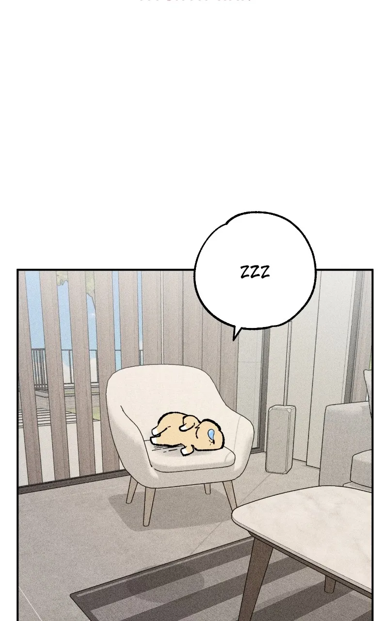 Read Devilish Son-In-Law chapter 23 image 16 on Lezhin