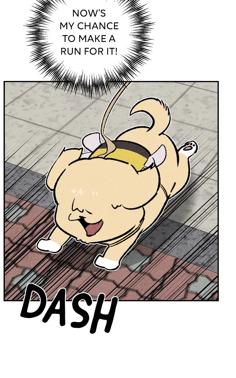 Read Devilish Son-In-Law chapter 24 image 26 on Lezhin