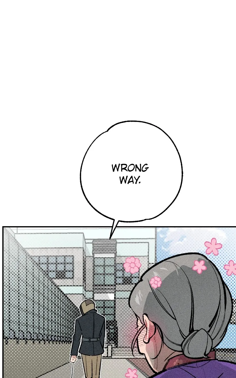 Read Devilish Son-In-Law chapter 24 image 28 on Lezhin