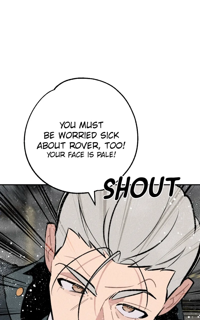 Read Devilish Son-In-Law chapter 31 image 3 on Lezhin