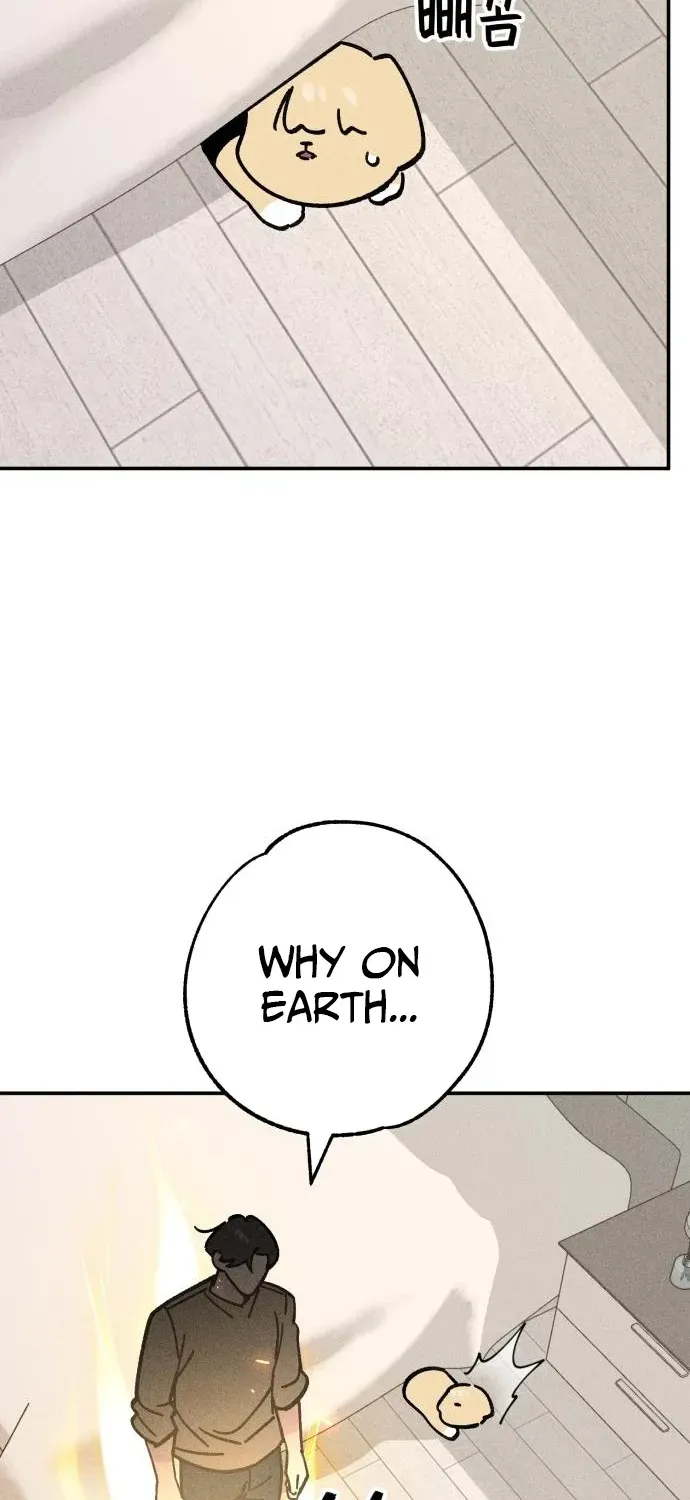 Read Devilish Son-In-Law chapter 50 image 54 on Lezhin