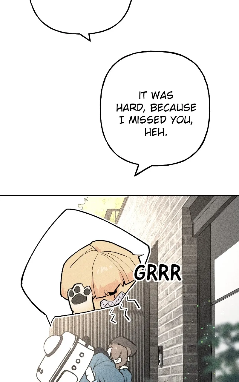Read Devilish Son-In-Law chapter 6 image 13 on Lezhin