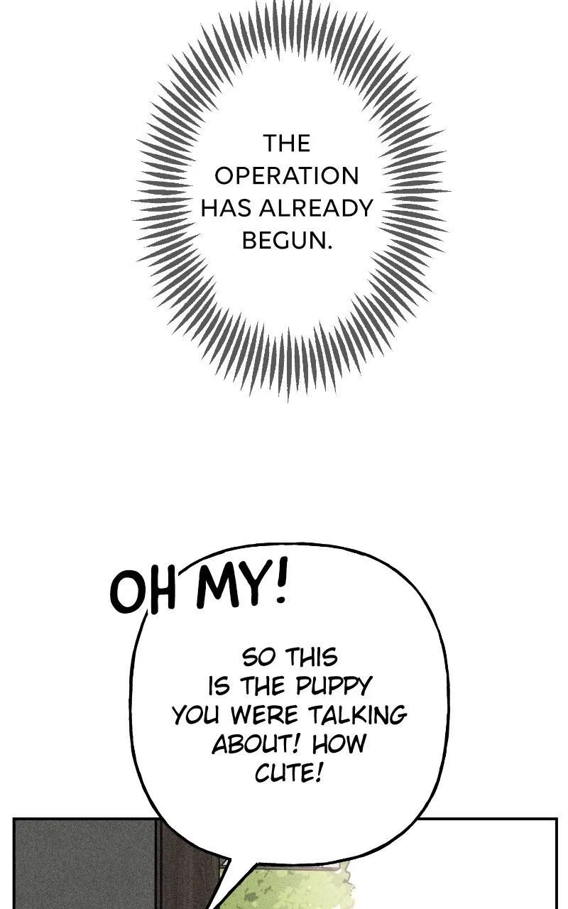 Read Devilish Son-In-Law chapter 6 image 18 on Lezhin