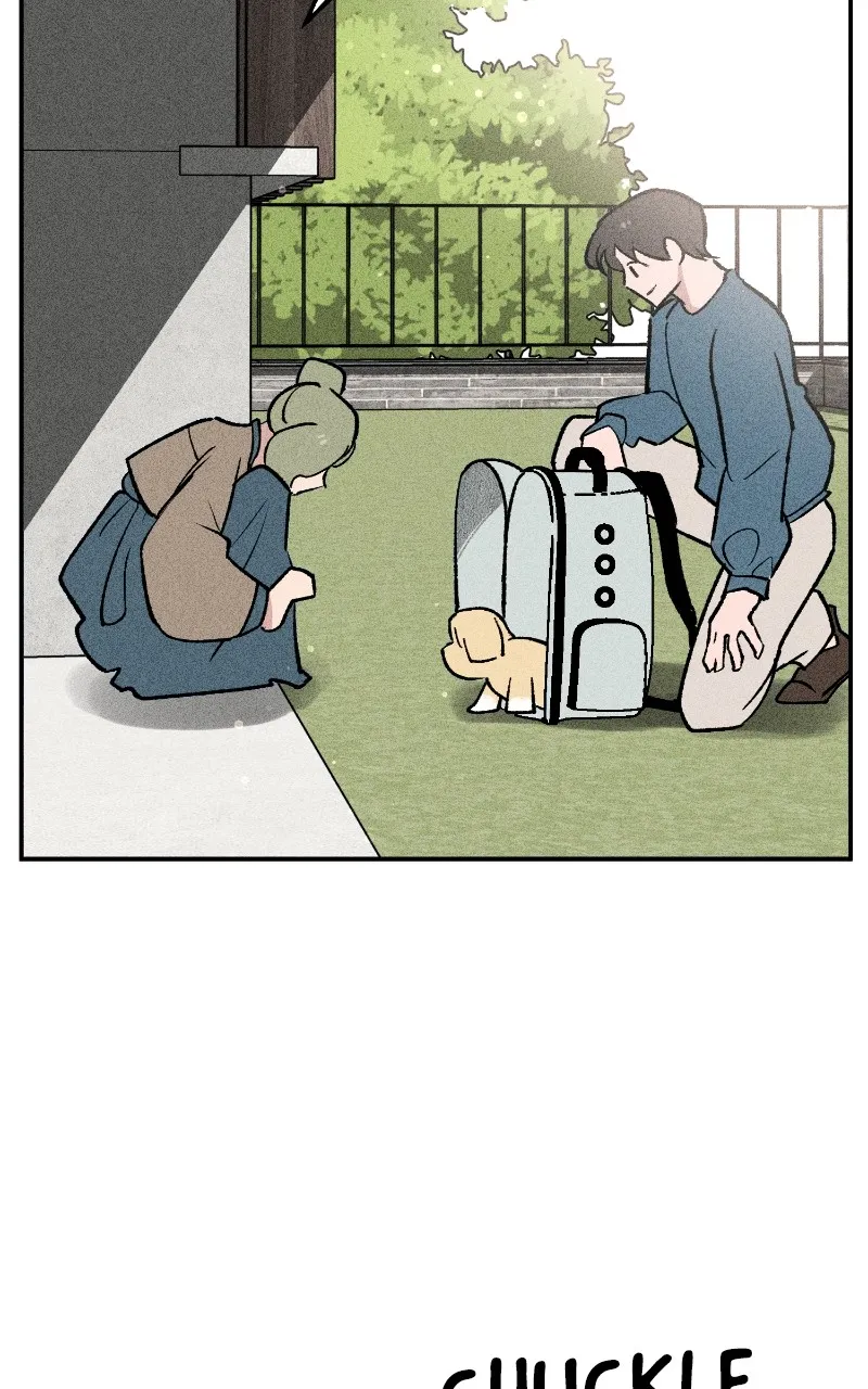 Read Devilish Son-In-Law chapter 6 image 19 on Lezhin