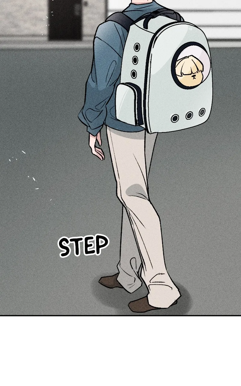Read Devilish Son-In-Law chapter 6 image 7 on Lezhin
