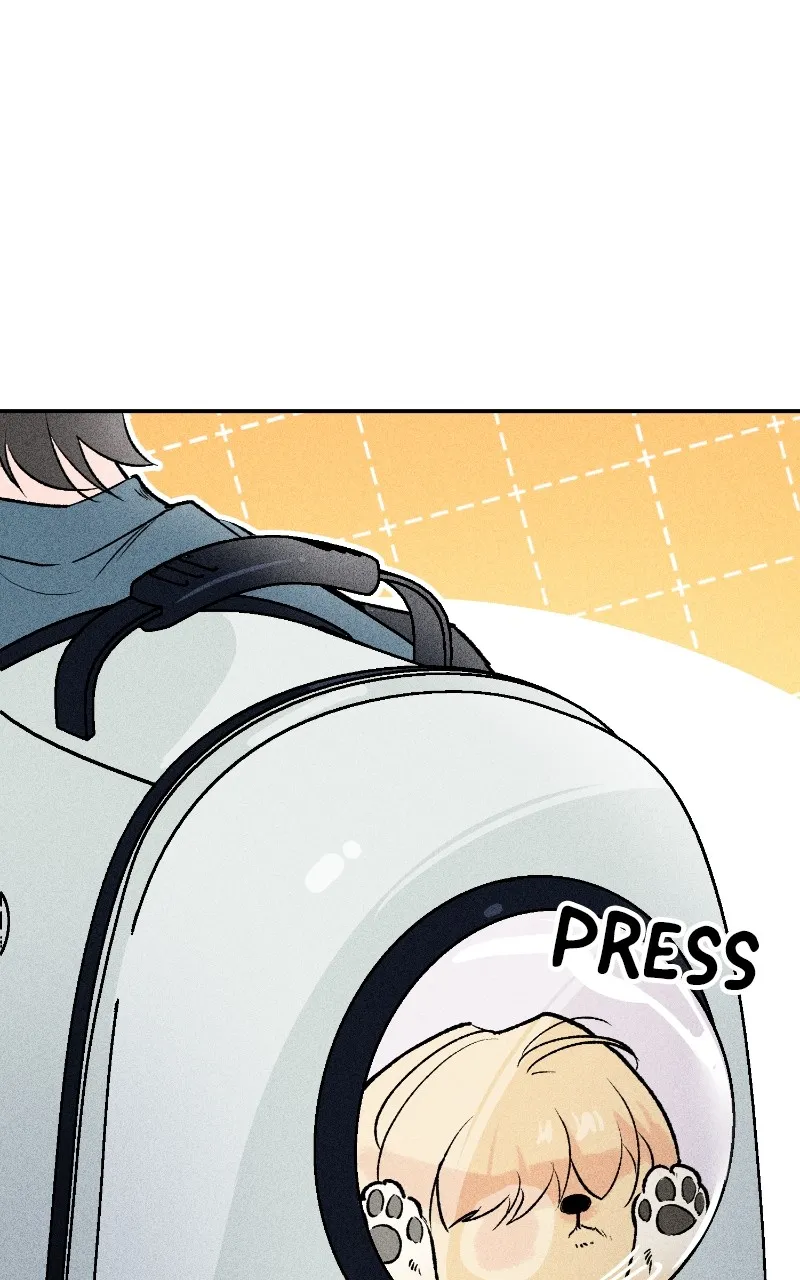 Read Devilish Son-In-Law chapter 6 image 9 on Lezhin