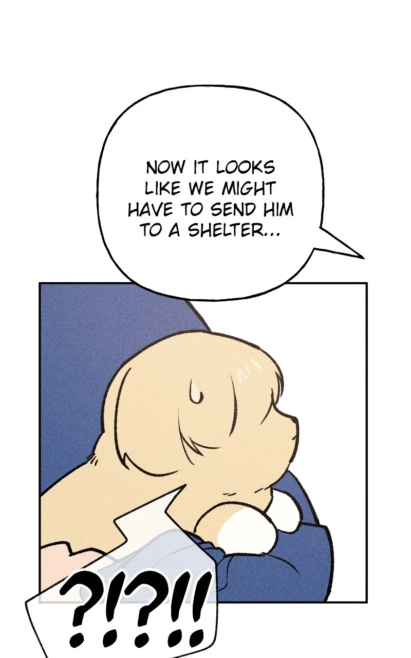 Read Devilish Son-In-Law chapter 7 image 57 on Lezhin