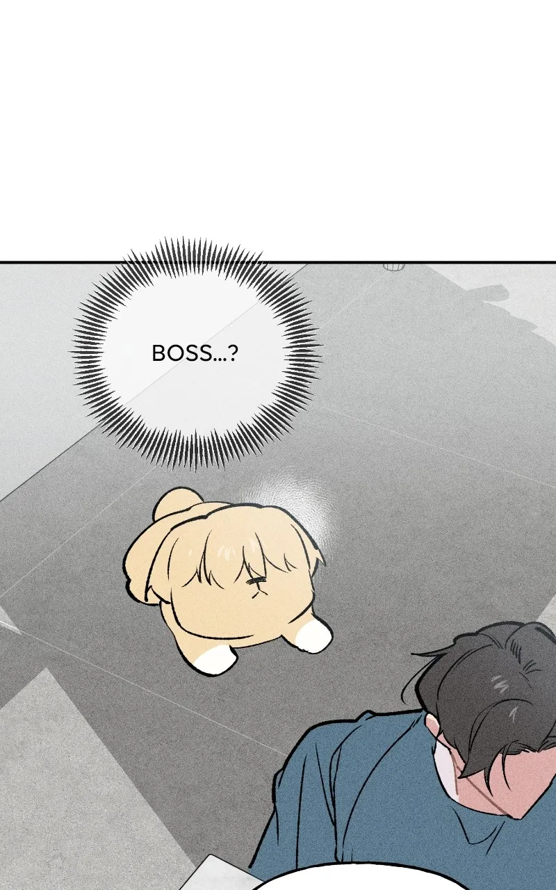 Read Devilish Son-In-Law chapter 8 image 81 on Lezhin