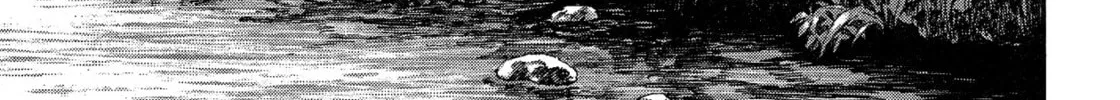 Read Devilman Saga chapter 58 image 33 on Lezhin