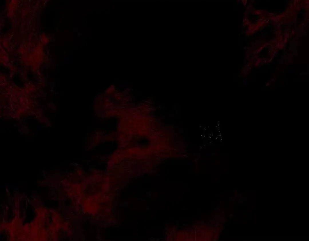 Devious Son Of Heaven Chapter 197 page 12 - 