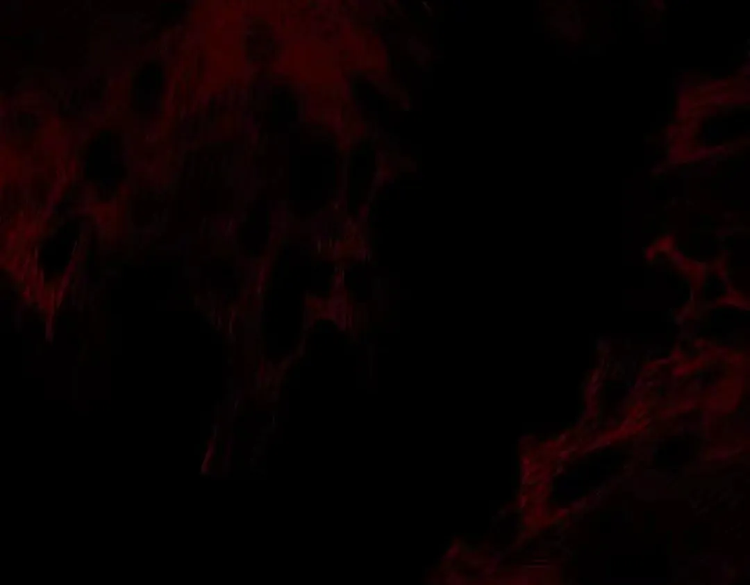 Devious Son Of Heaven Chapter 197 page 6 - 