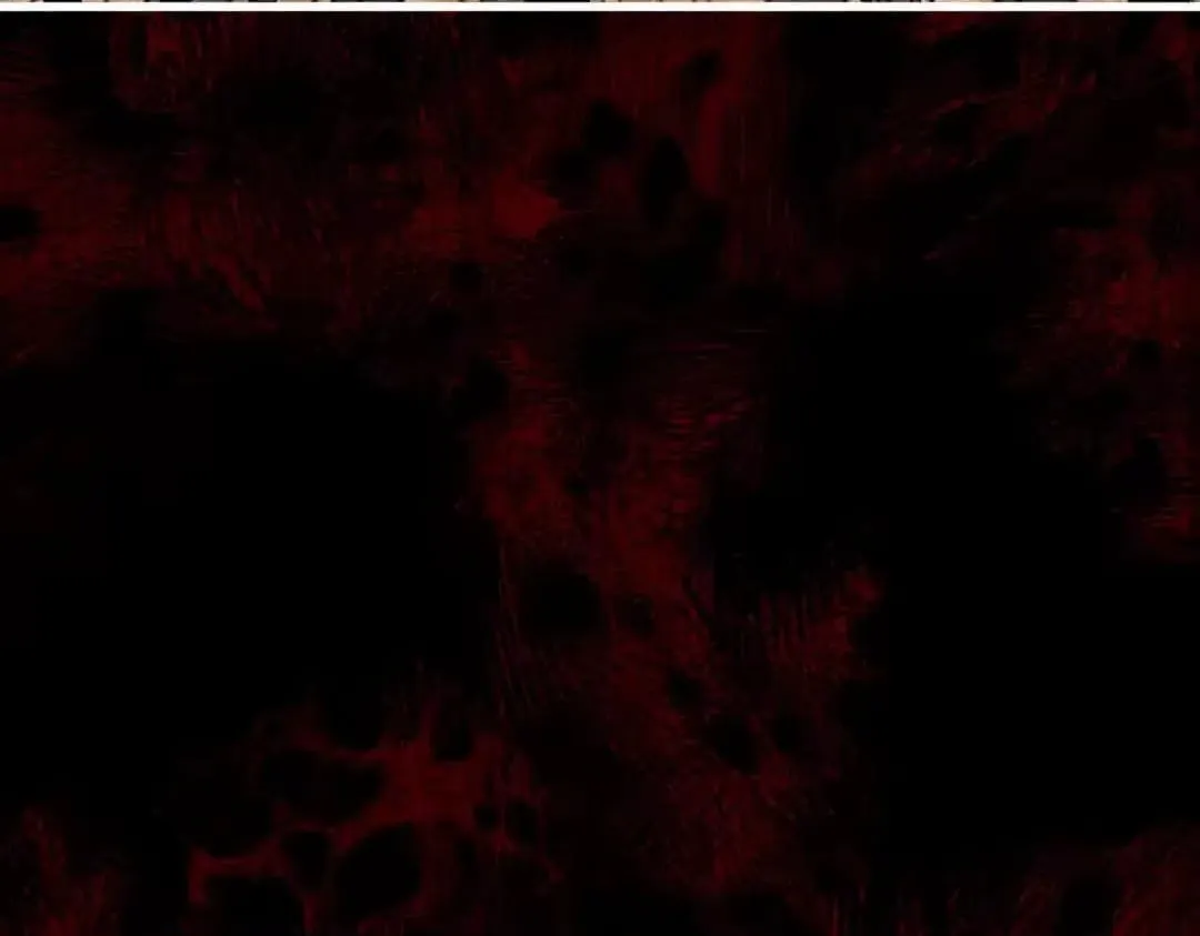 Devious Son Of Heaven Chapter 197 page 9 - 