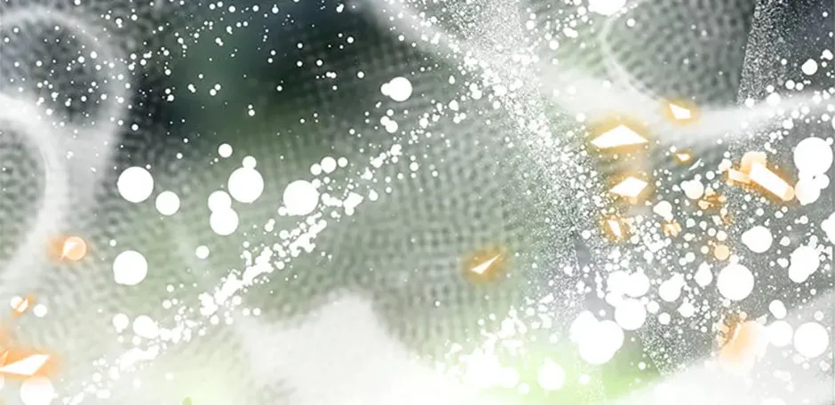 Read Devoted to Diamond chapter 102 image 85 on Lezhin
