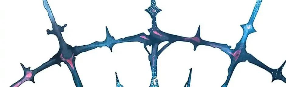 Read Devoted to Diamond chapter 34 image 7 on Lezhin