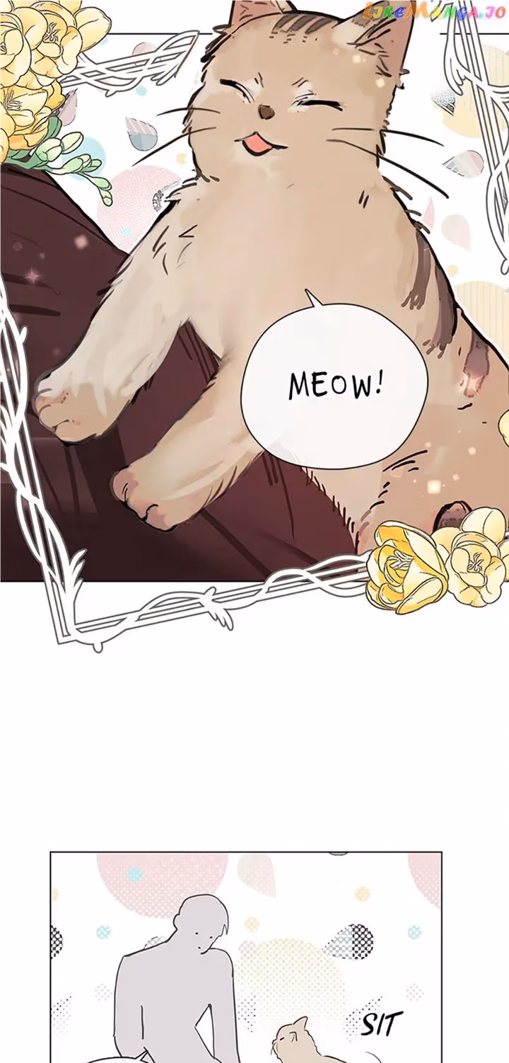 Read Devoted to Diamond chapter 78 image 35 on Lezhin
