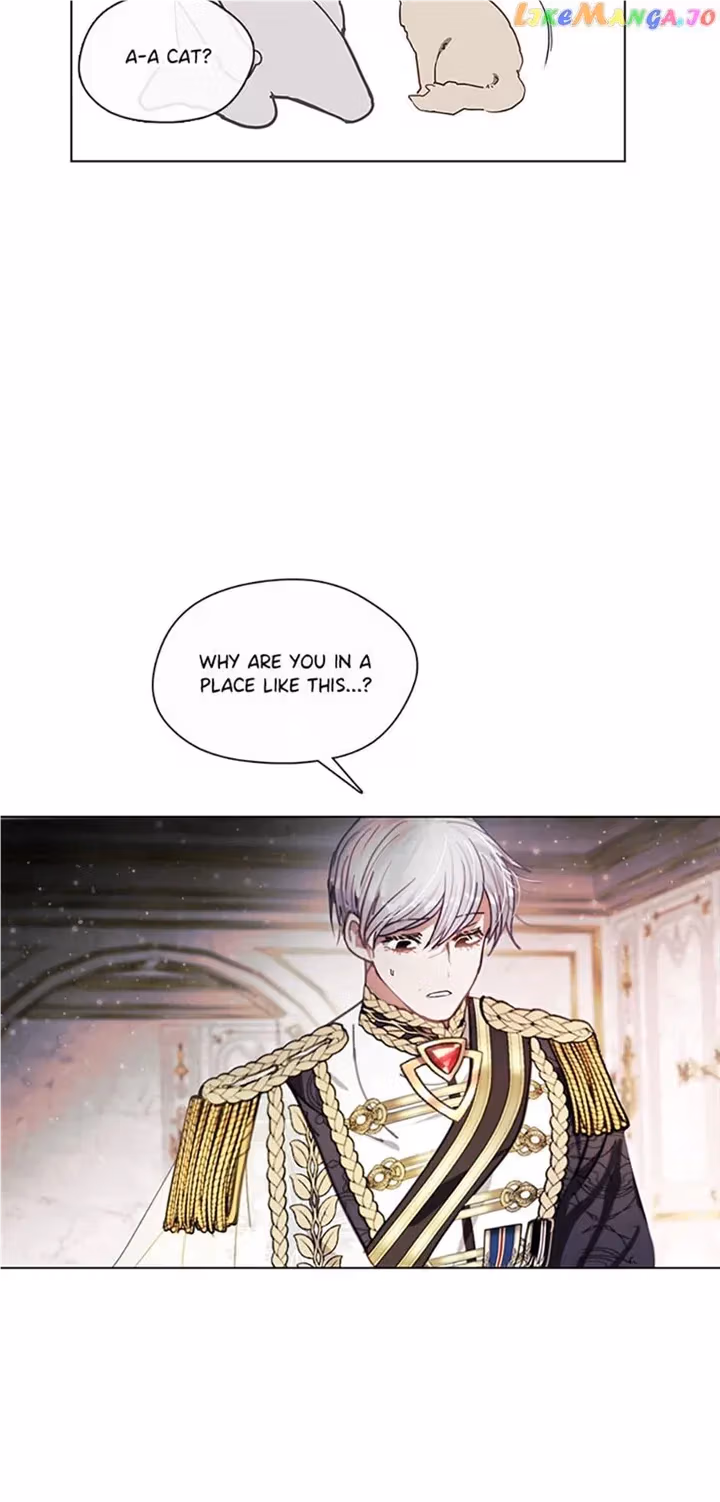 Read Devoted to Diamond chapter 78 image 36 on Lezhin