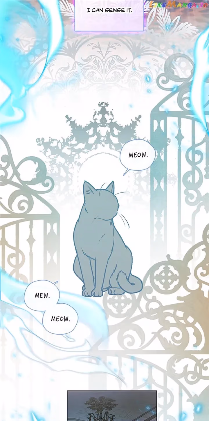Read Devoted to Diamond chapter 78 image 40 on Lezhin