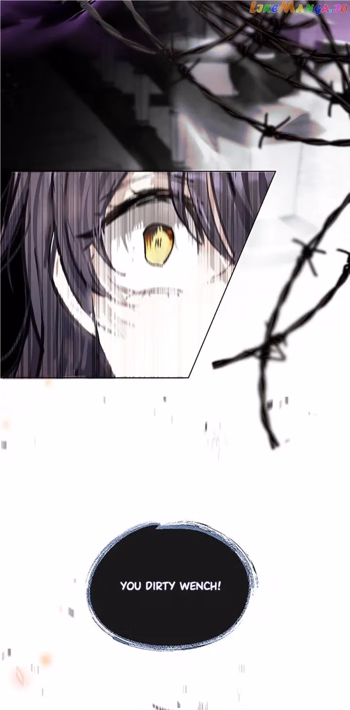 Read Devoted to Diamond chapter 78 image 62 on Lezhin