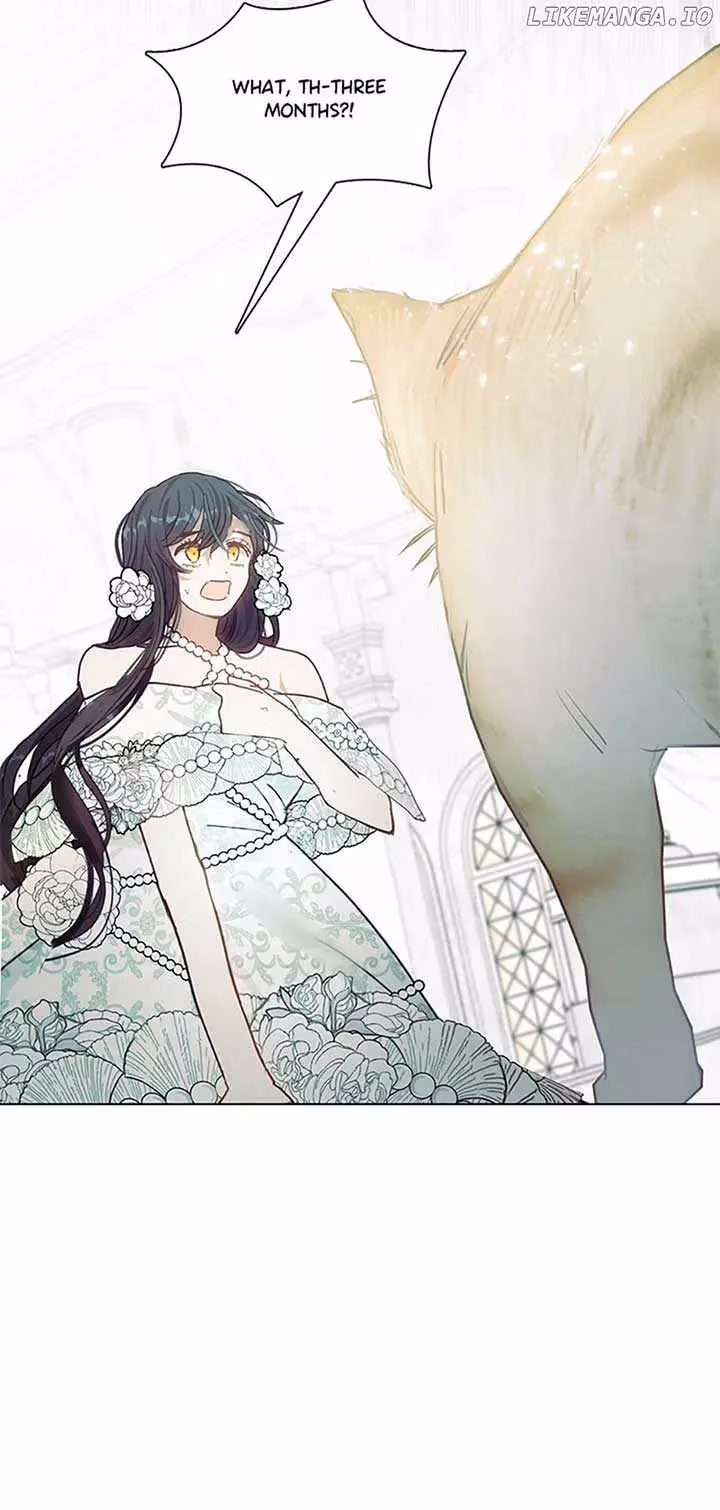 Read Devoted to Diamond chapter 82 image 17 on Lezhin