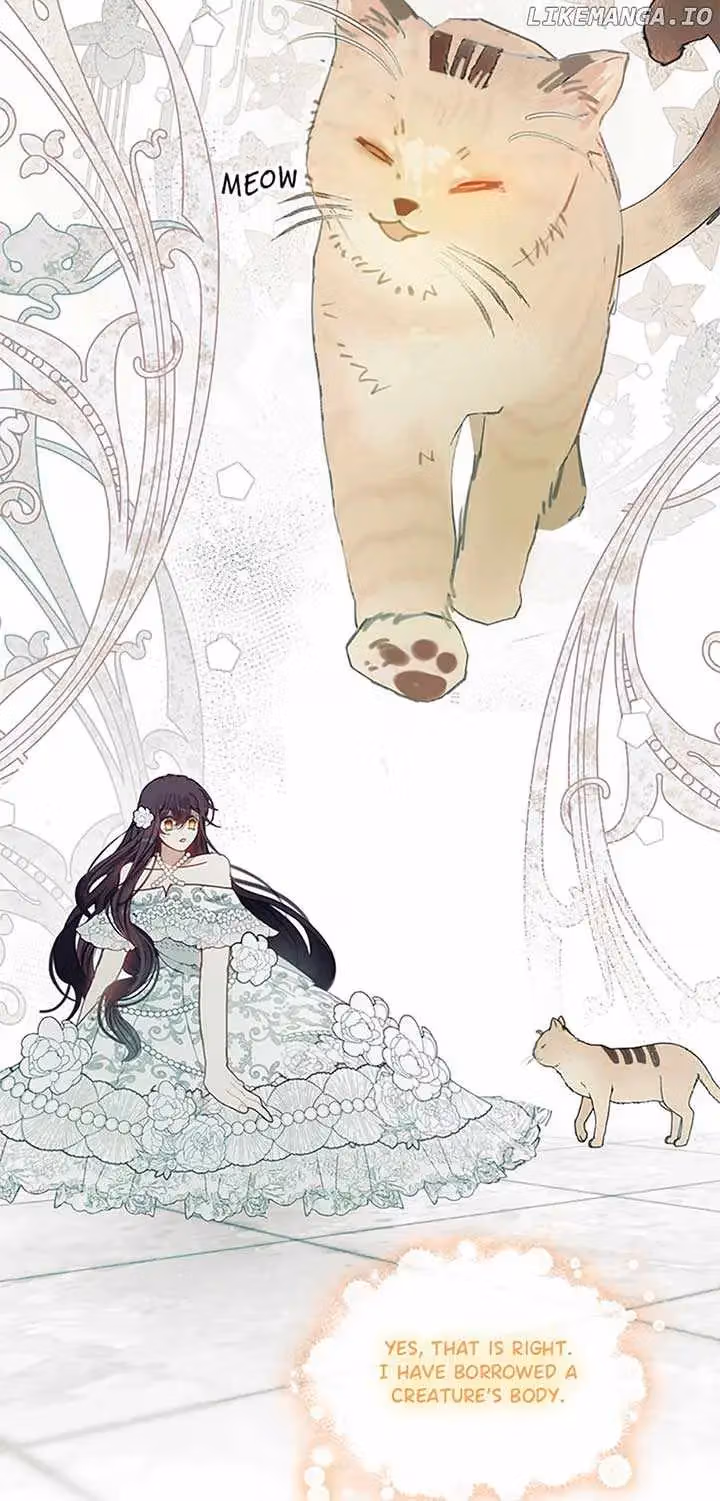 Read Devoted to Diamond chapter 82 image 4 on Lezhin