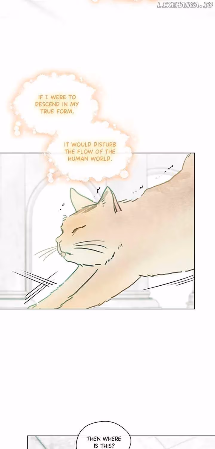 Read Devoted to Diamond chapter 82 image 5 on Lezhin