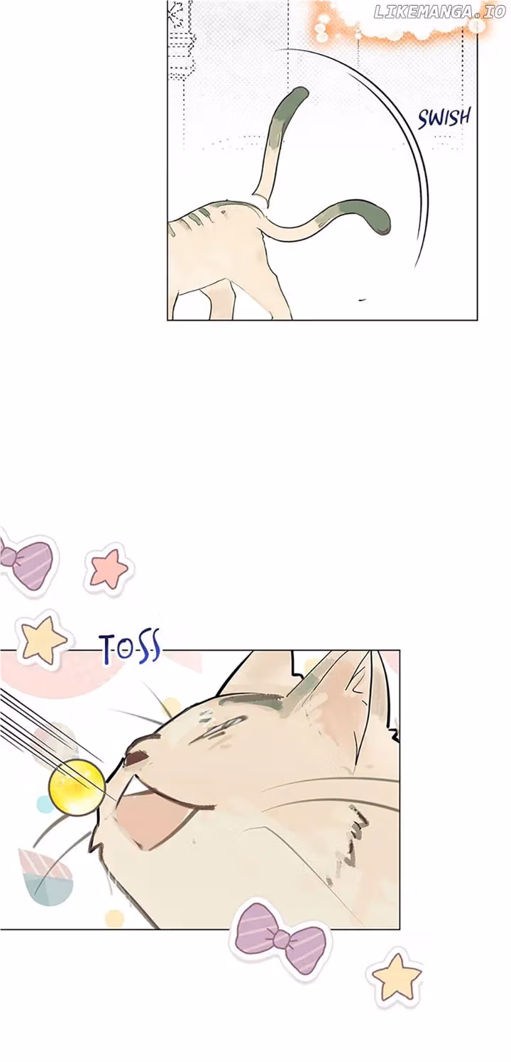 Read Devoted to Diamond chapter 83 image 53 on Lezhin