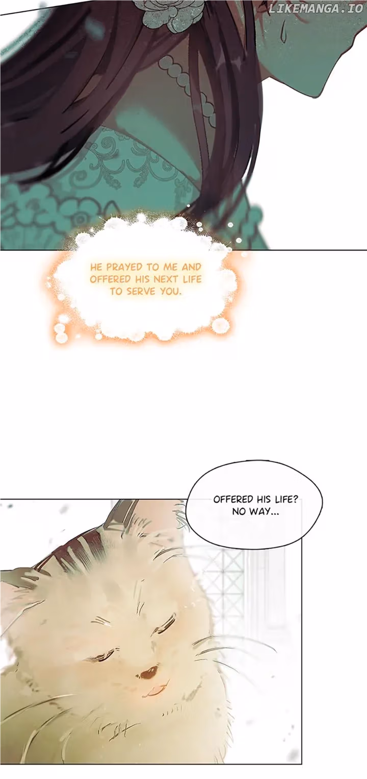 Read Devoted to Diamond chapter 83 image 6 on Lezhin