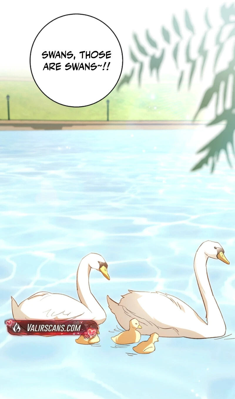 Read Dia duit chapter 32 image 18 on Lezhin