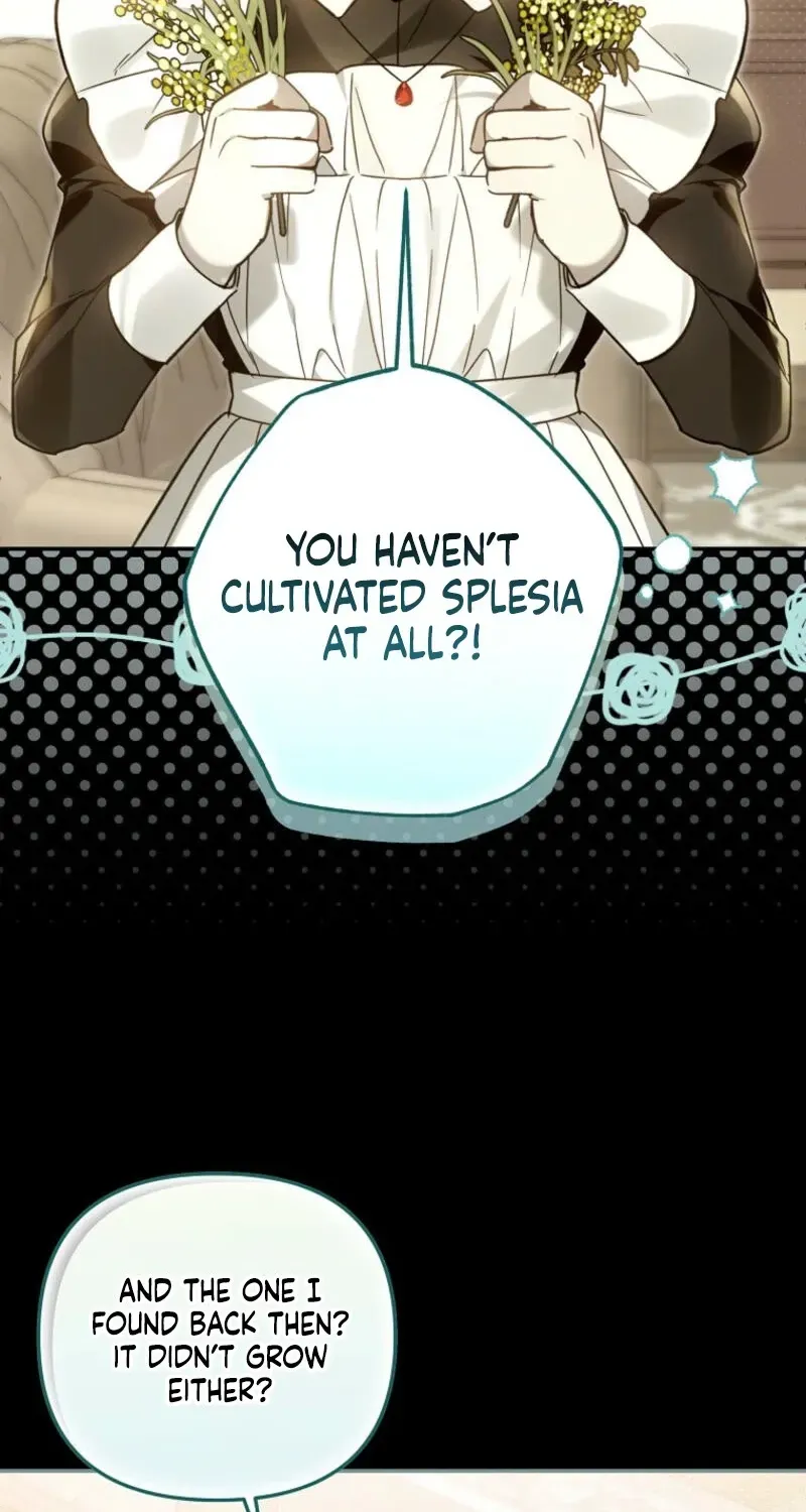 Diana's Dearest Is the Family's Favorite Chapter 28 page 37 - 