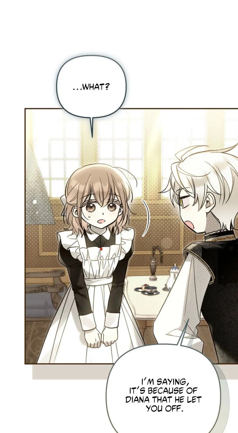 Diana's Dearest Is the Family's Favorite Chapter 33.1 page 47 - 
