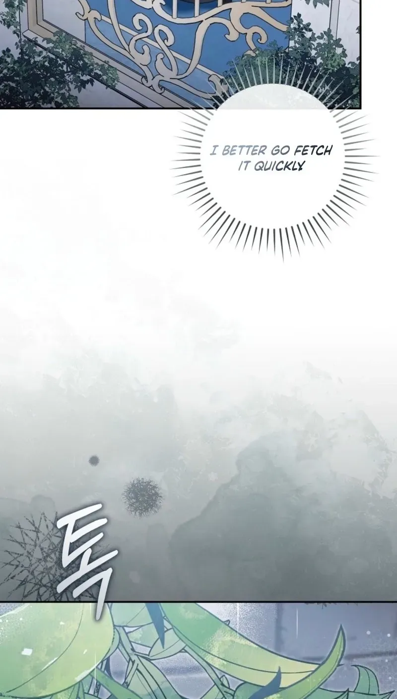 Diana's Dearest Is the Family's Favorite Chapter 36 page 12 - 