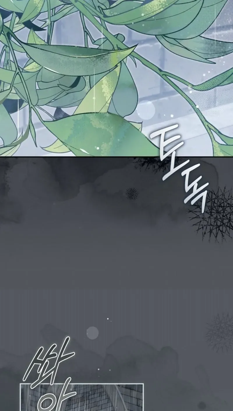 Diana's Dearest Is the Family's Favorite Chapter 36 page 13 - 