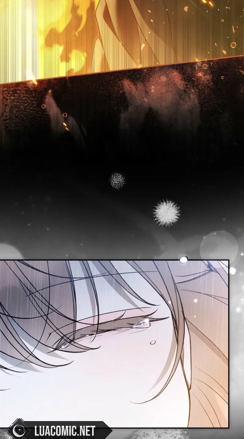 Diana's Dearest Is the Family's Favorite Chapter 37 page 37 - 