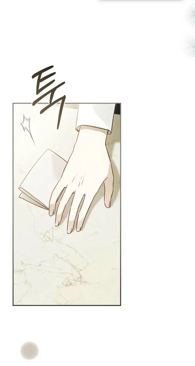 Diana's Dearest Is the Family's Favorite Chapter 41 page 27 - 