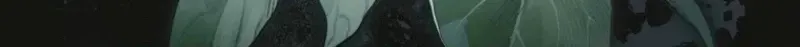 Diana's Dearest Is the Family's Favorite Chapter 45 page 41 - 