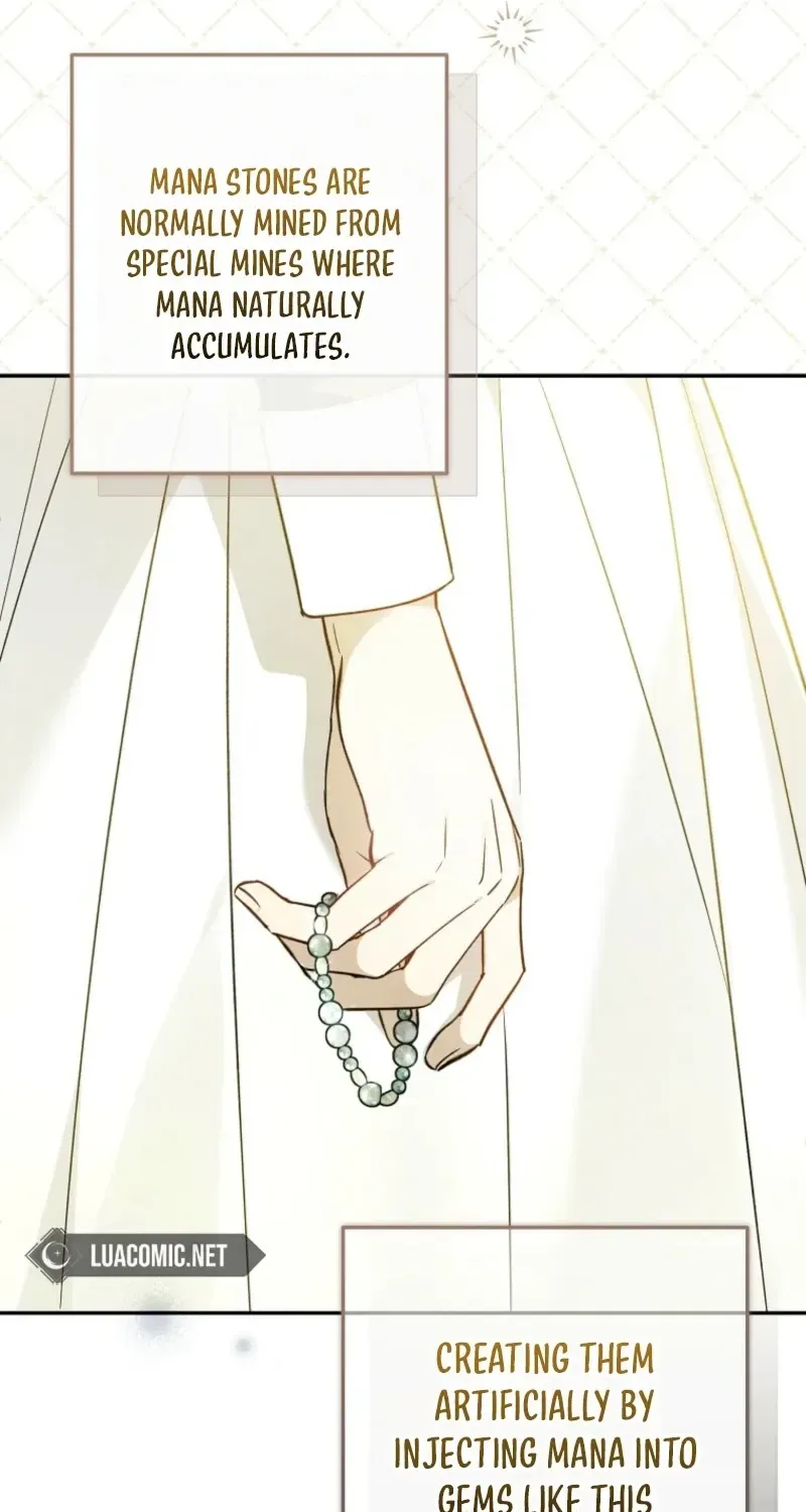 Diana's Dearest Is the Family's Favorite Chapter 47 page 29 - 