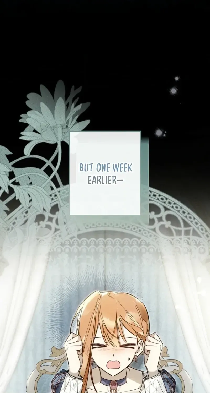 Diana's Dearest Is the Family's Favorite Chapter 47 page 50 - 