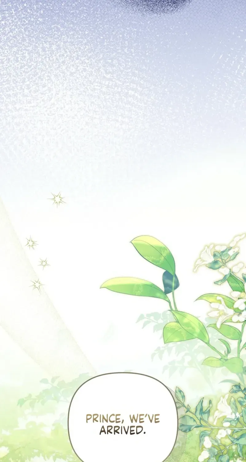 Diana's Dearest Is the Family's Favorite Chapter 47 page 97 - 