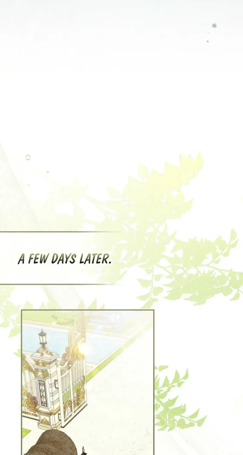 Diana's Dearest Is the Family's Favorite Chapter 48 page 76 - 