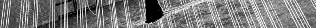 Read Diasporaiser chapter 10 image 27 on Lezhin