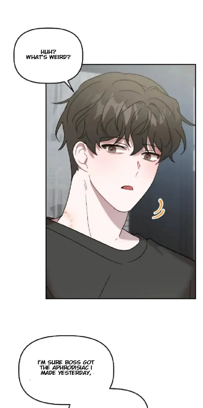 Read Did It Work? chapter 25 image 33 on Lezhin