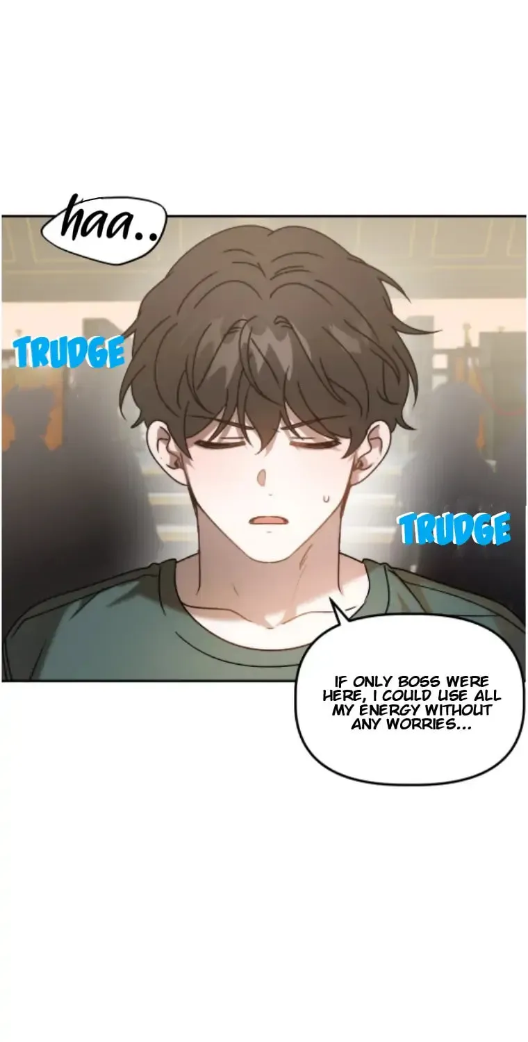 Read Did It Work? chapter 36 image 29 on Lezhin