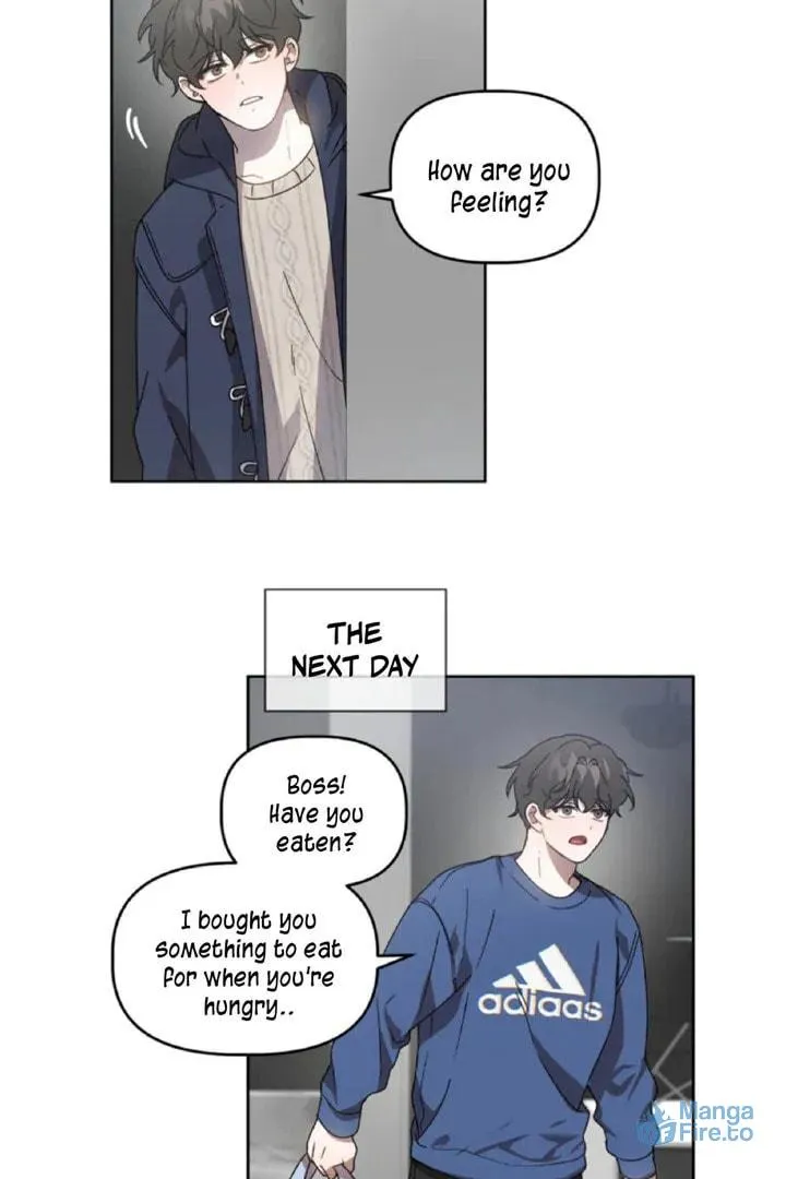 Read Did It Work? chapter 50 image 2 on Lezhin