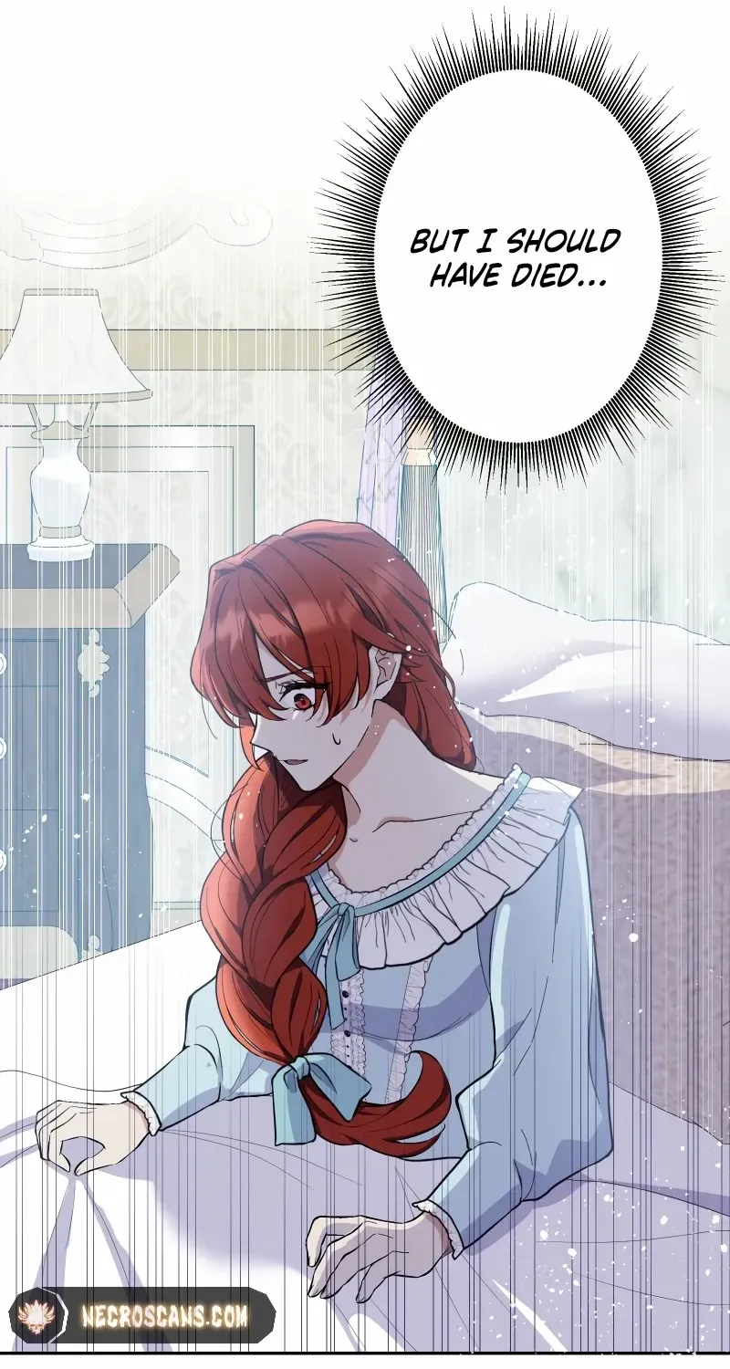 Read Did You Like Me? chapter 1 image 108 on Lezhin