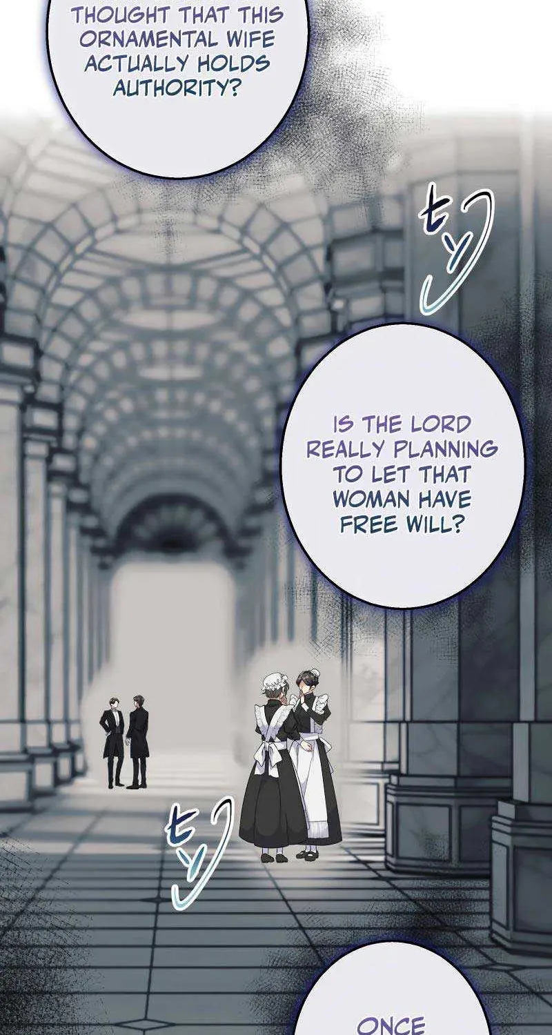 Read Did You Like Me? chapter 5 image 34 on Lezhin