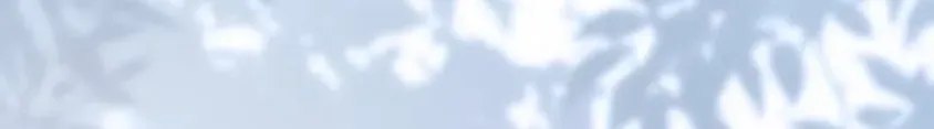 Read Did You Like Me? chapter 88 image 43 on Lezhin