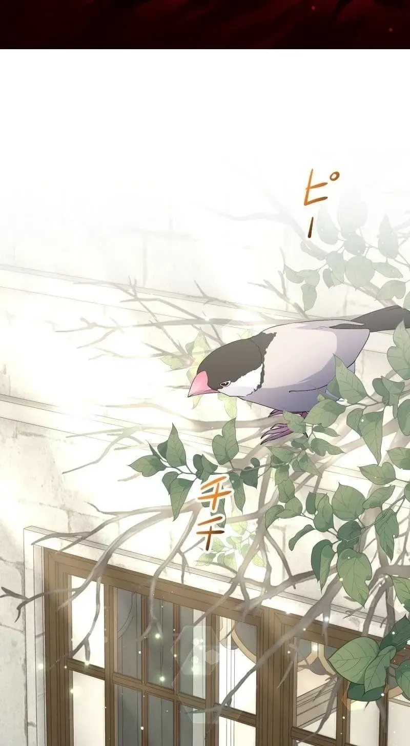 Read Did You Like Me? chapter 96 image 1 on Lezhin